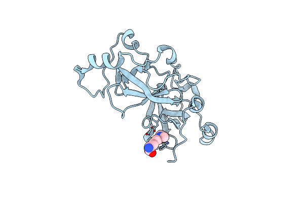 2R58 image