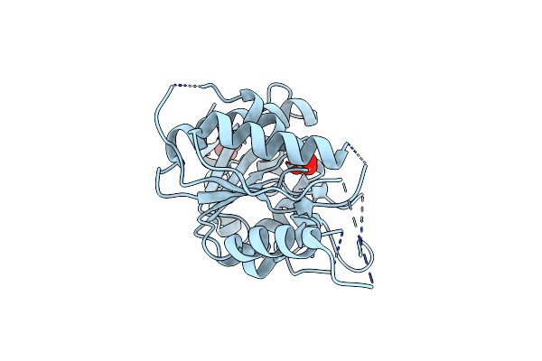 2R5F image