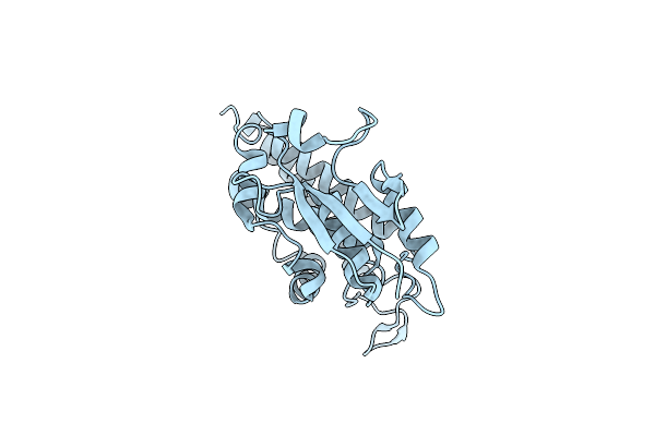 2R5G image