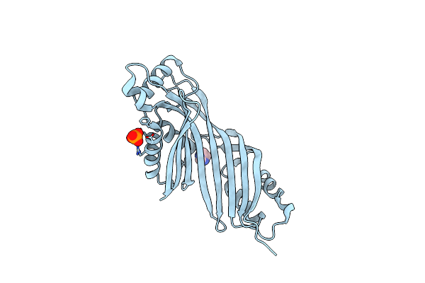 2R5R image