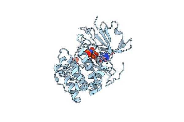 2R5T image