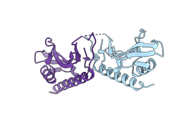 2R5X image