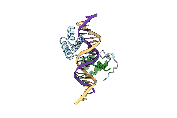 2R5Y image
