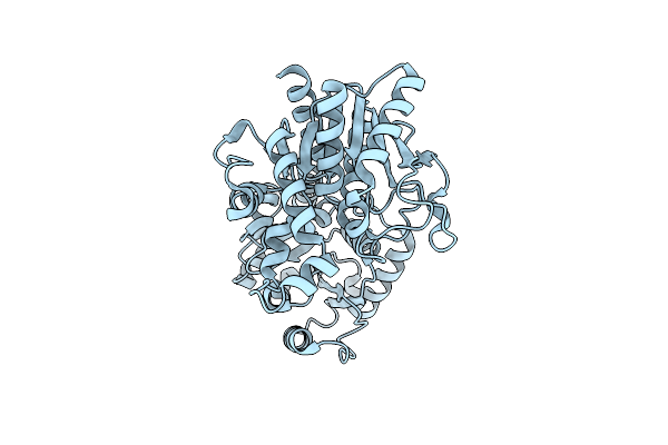 2R60 image