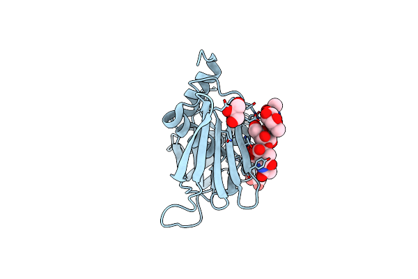 2R61 image
