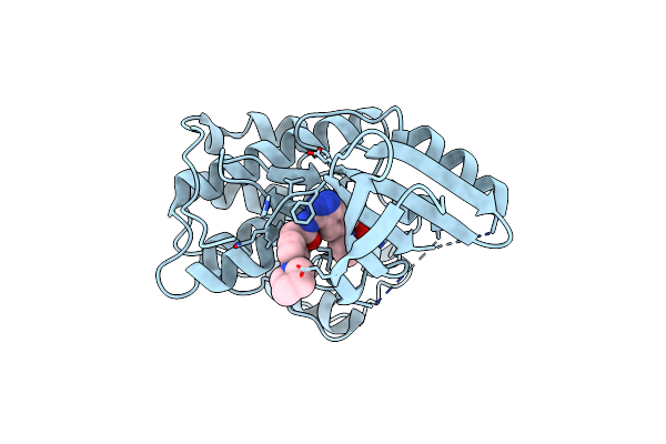 2R64 image