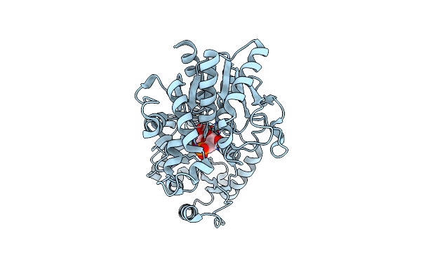 2R68 image