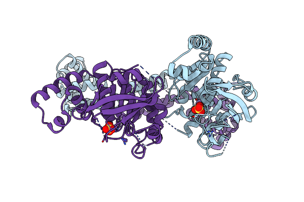 2R6E image