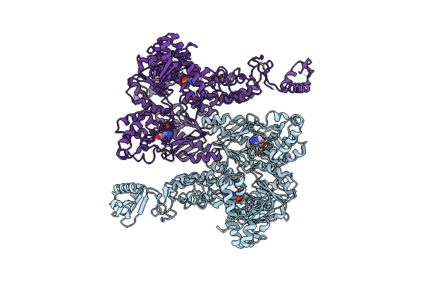 2R6F image