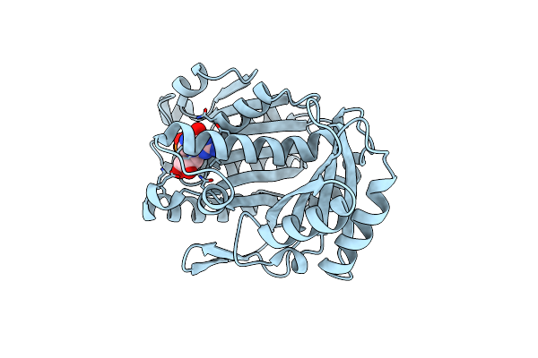 2R6R image