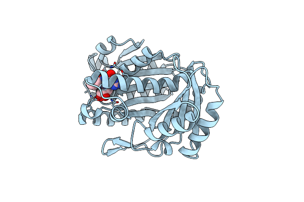 2R75 image