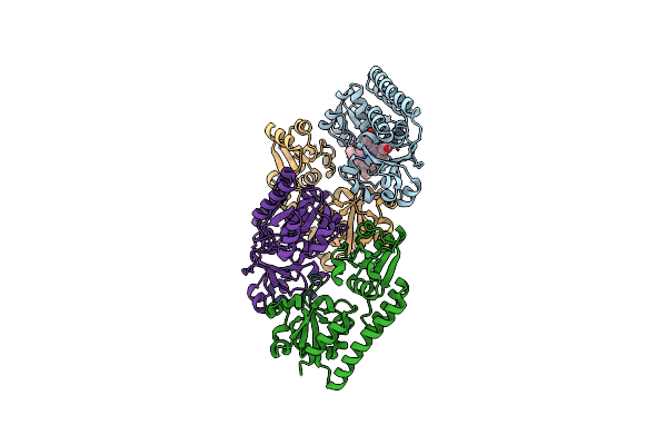 2R7A image