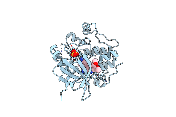 2R7B image