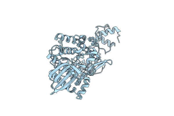 2R7F image