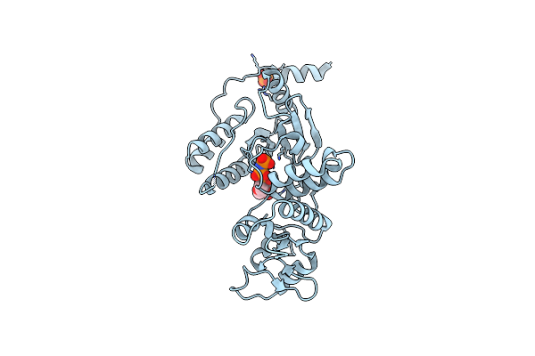 2R7P image