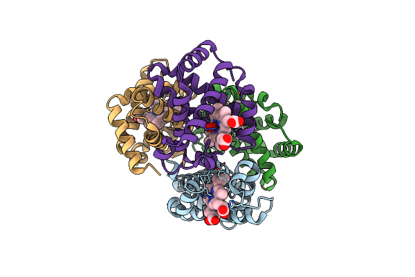 2R80 image