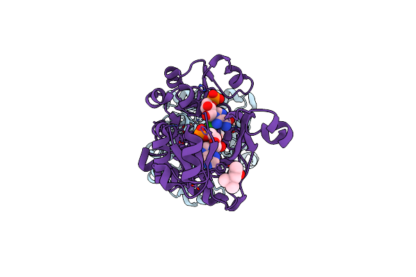 2R84 image