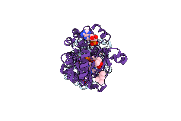 2R85 image