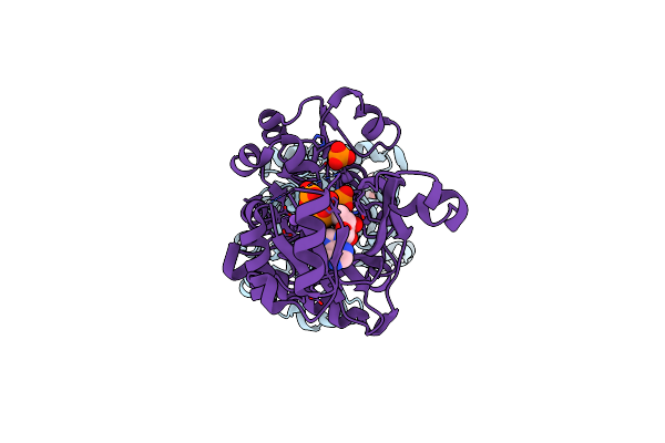 2R86 image