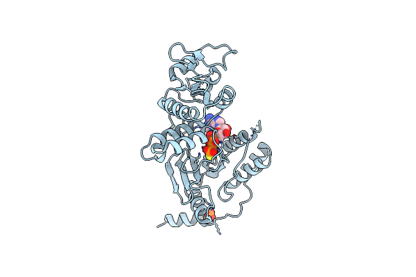 2R8F image