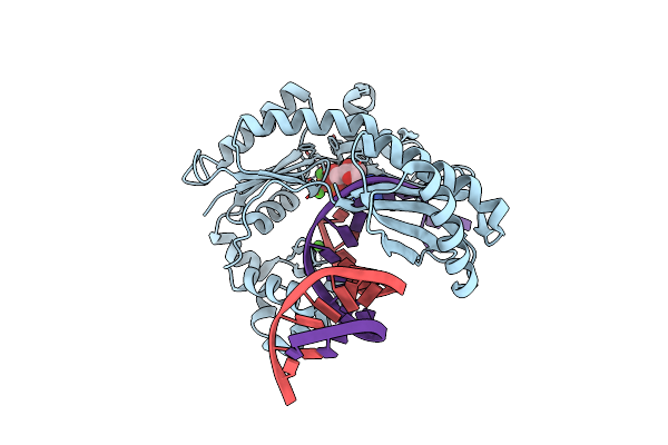 2R8G image