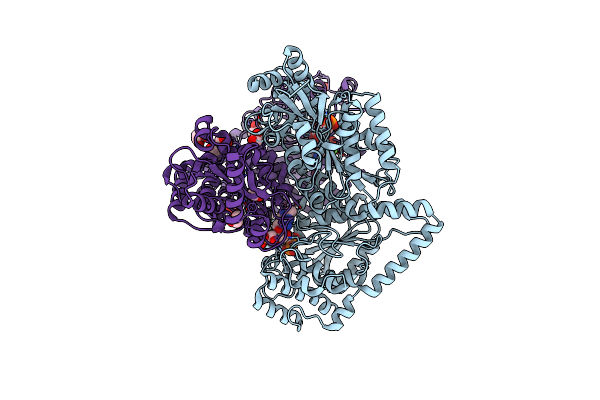 2R8O image