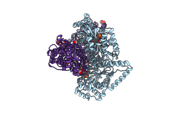 2R8P image
