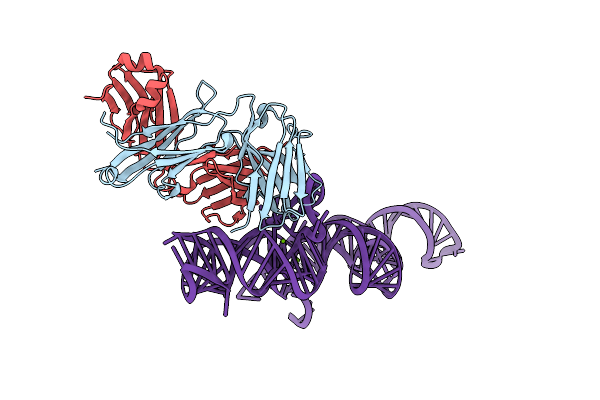 2R8S image