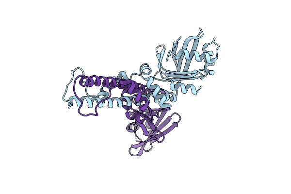 2R9A image