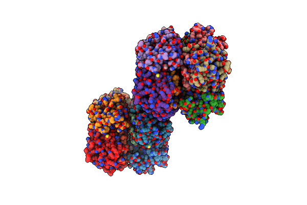 2R9G image