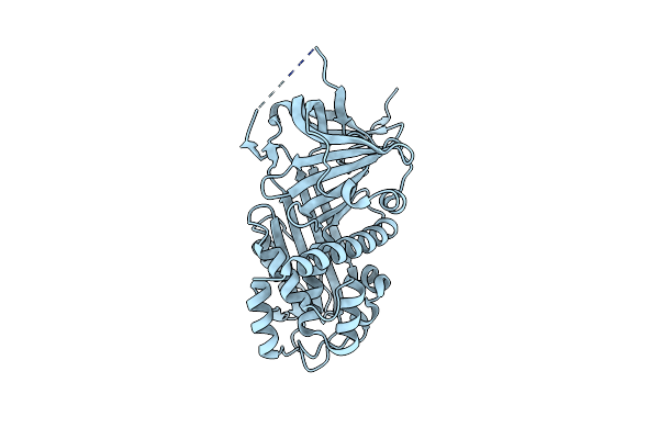 2R9Y image