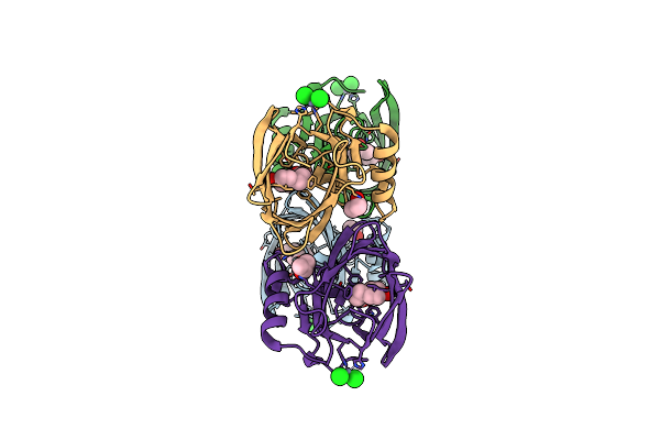 2RA6 image