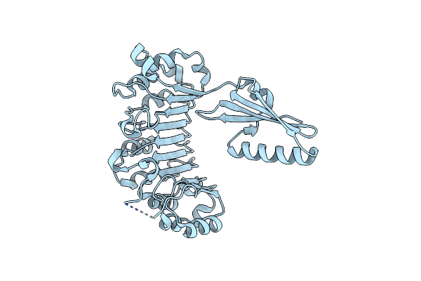 2RA8 image