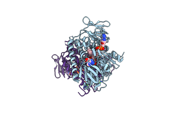 2RAB image