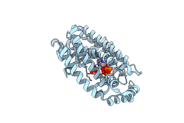 2RAH image