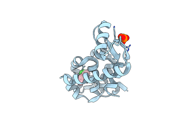 2RAY image