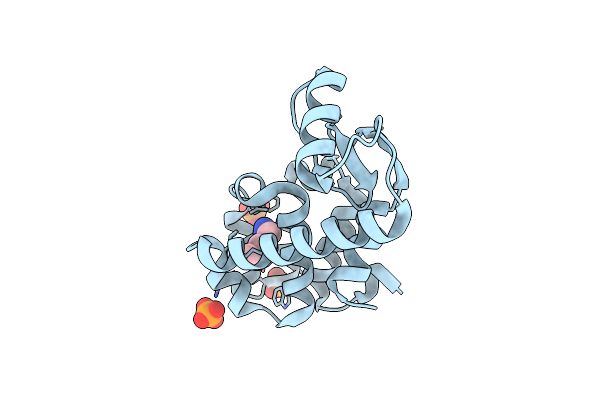 2RB2 image