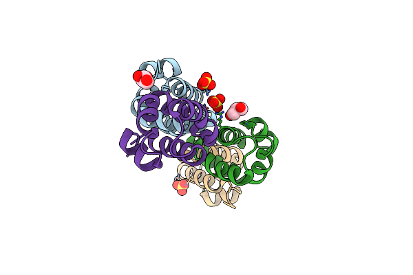 2RB3 image