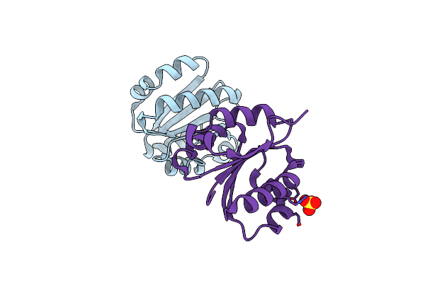 2RBG image
