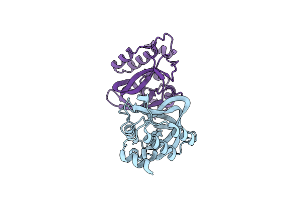 2RBH image