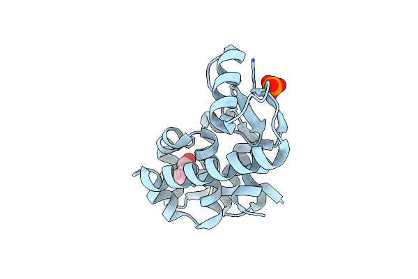 2RBP image