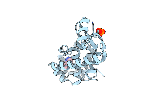2RBQ image