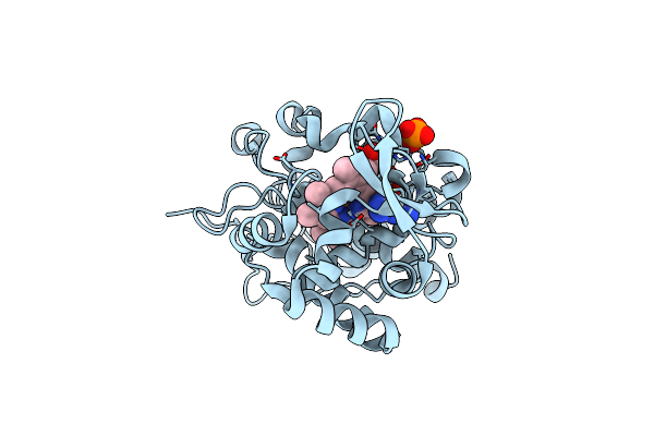2RBX image