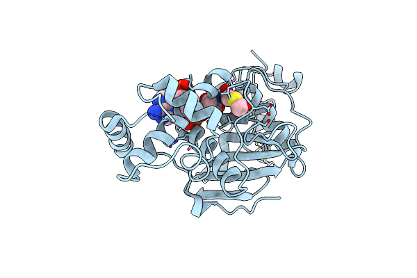 2RC4 image