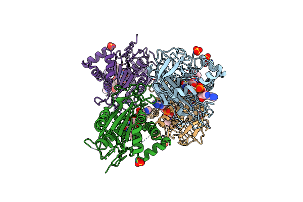 2RC5 image