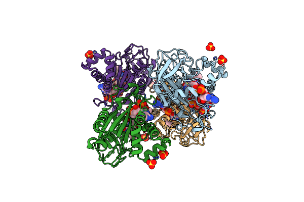 2RC6 image