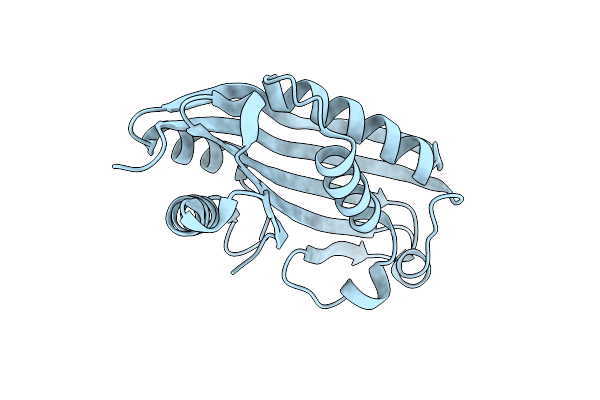 2RCI image