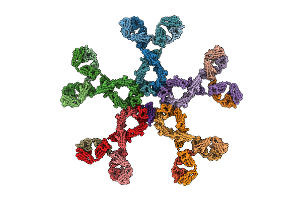 2RCJ image