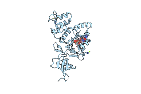 2RCN image