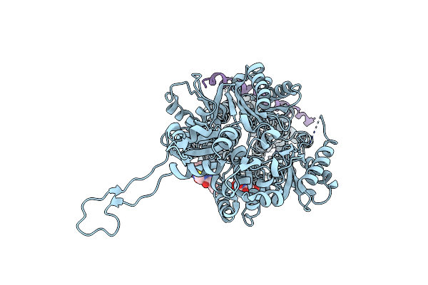 2RDD image